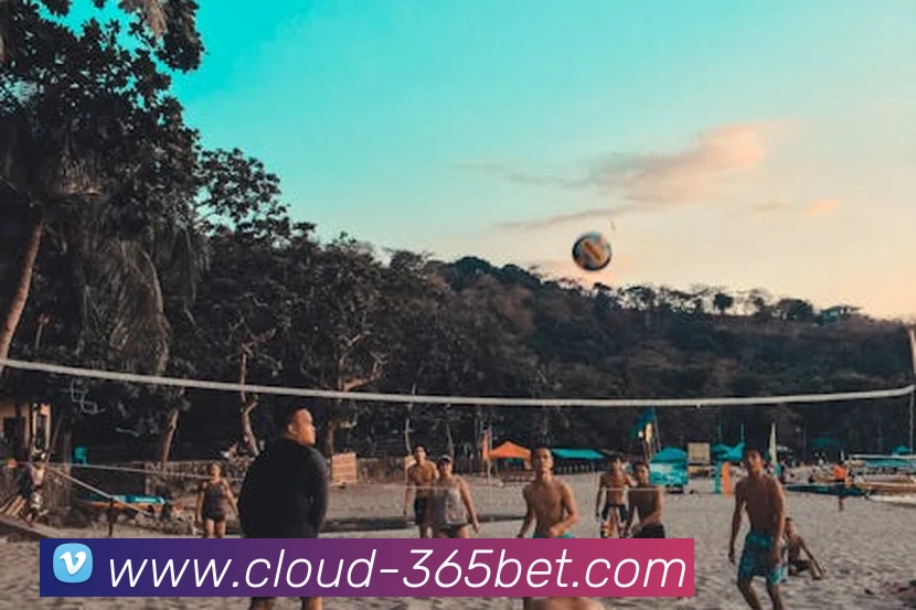 App Interface Preview